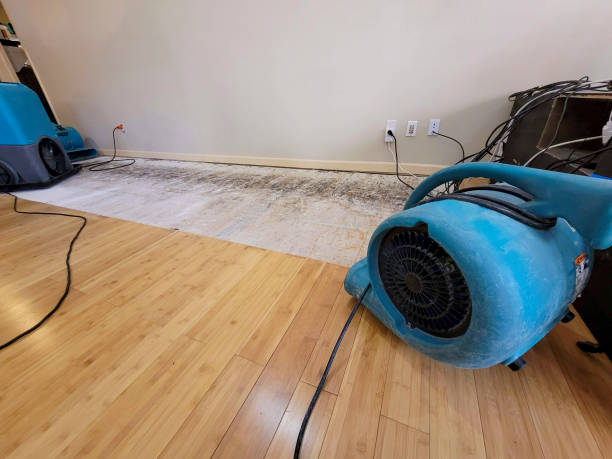 Professional Flood Damage Cleanup technician working in Dunkirk, MD